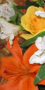 021412_FlowersFromMySweetie_06