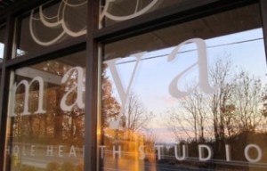 MayaWholeHealthStudio_PoolBuildingWindow